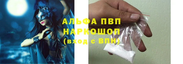 PSILOCYBIN Семёнов