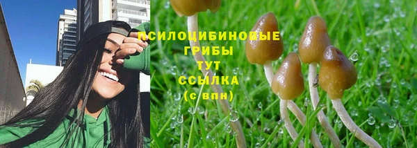 ПСИЛОЦИБИНОВЫЕ ГРИБЫ Алексеевка