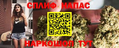 СК Пугачёв