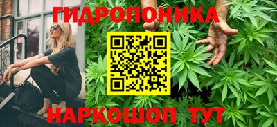 стафф Пыть-Ях