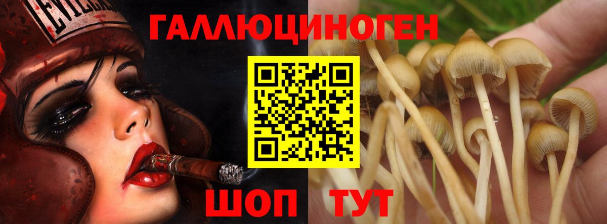Псилоцибиновые грибы MAGIC MUSHROOMS  Галлюциногенные грибы мицелий  Вход с VPN  наркошоп  Балашов 
